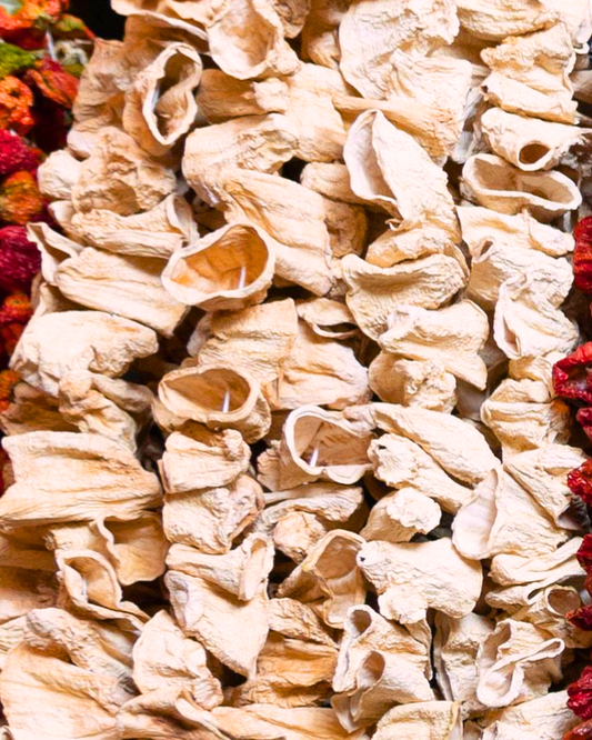 Antep Kabak Kuruluğu (45-50 adet)
