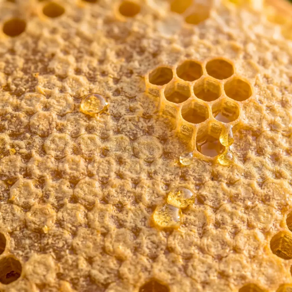 Hakiki Karakovan Balı ~ 1200 gr