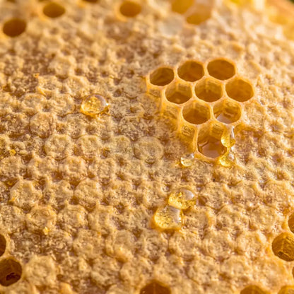 Hakiki Karakovan Balı ~ 1200 gr