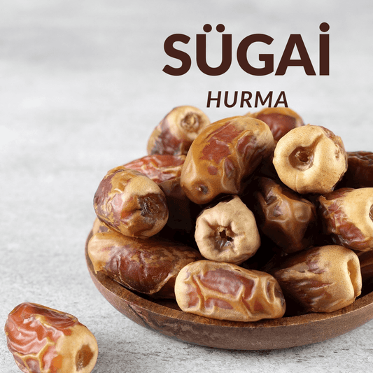 Sugai Hurma (Yüksek Lif)